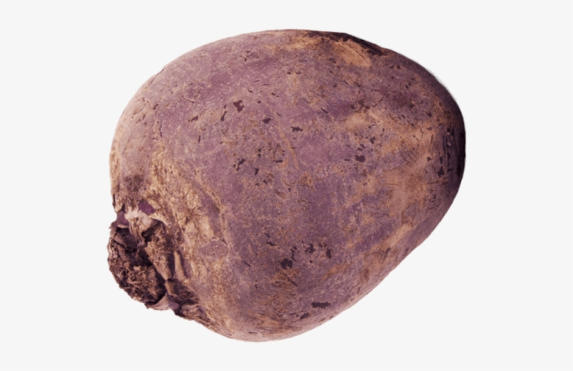 1 Unit - Beetroot - Adirondack Blue Potato, transparent png download
