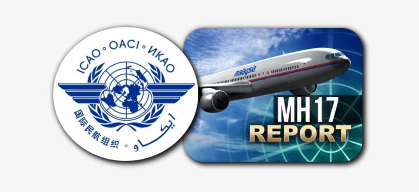 Icao Must Respond Now To The Dsb Mh 17 Recommendations - United Nations, transparent png download