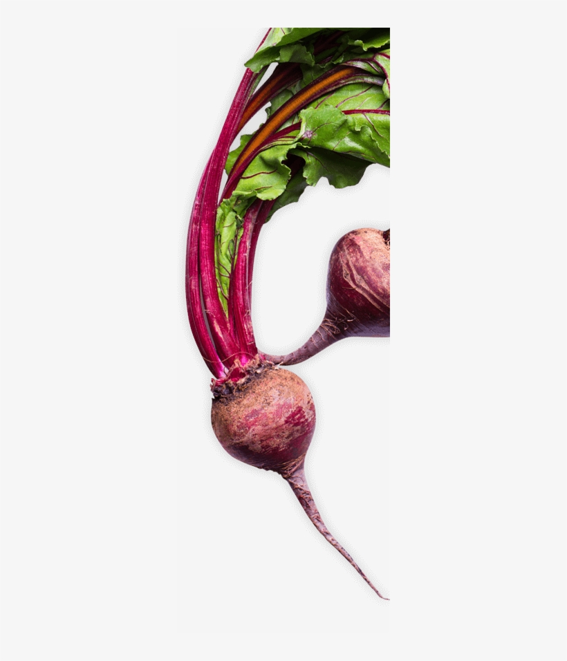 Try Our Ketchup - Beetroot, transparent png download