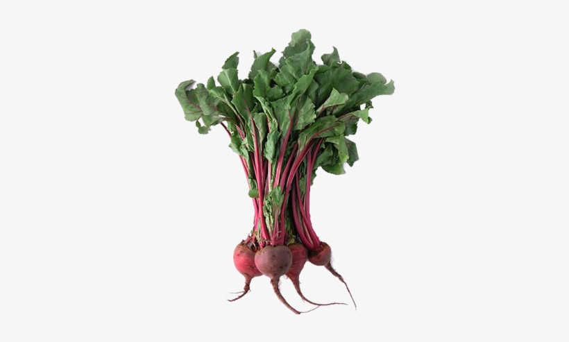 Corn Brochure, transparent png download