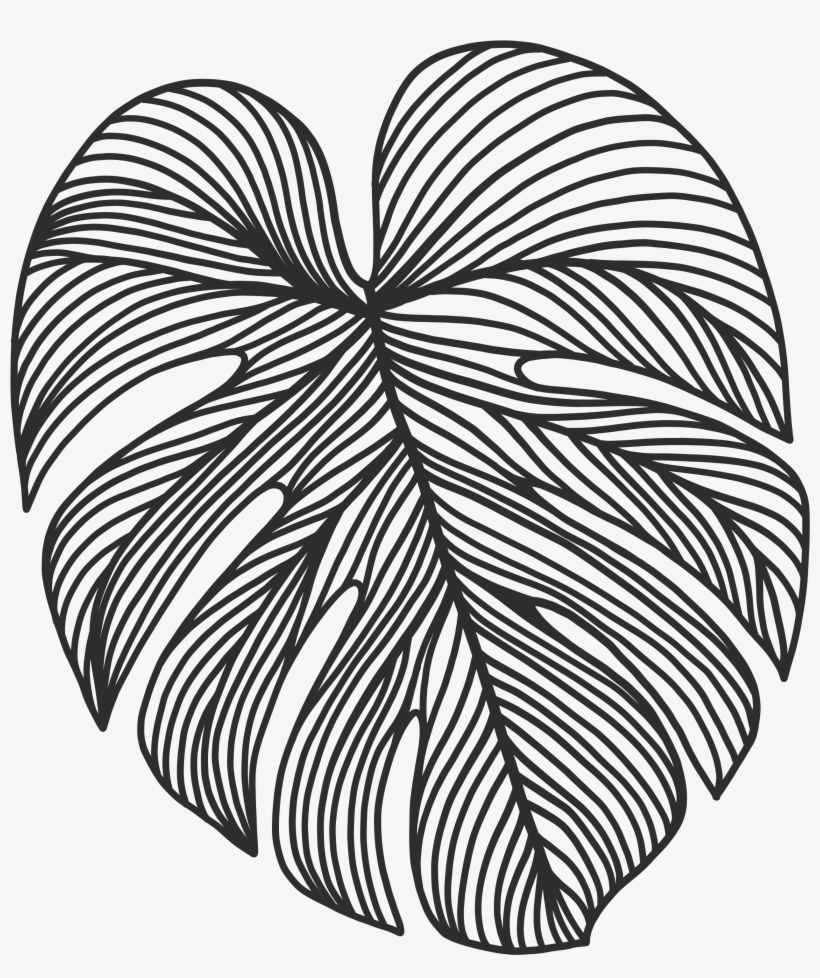 Paper, transparent png download