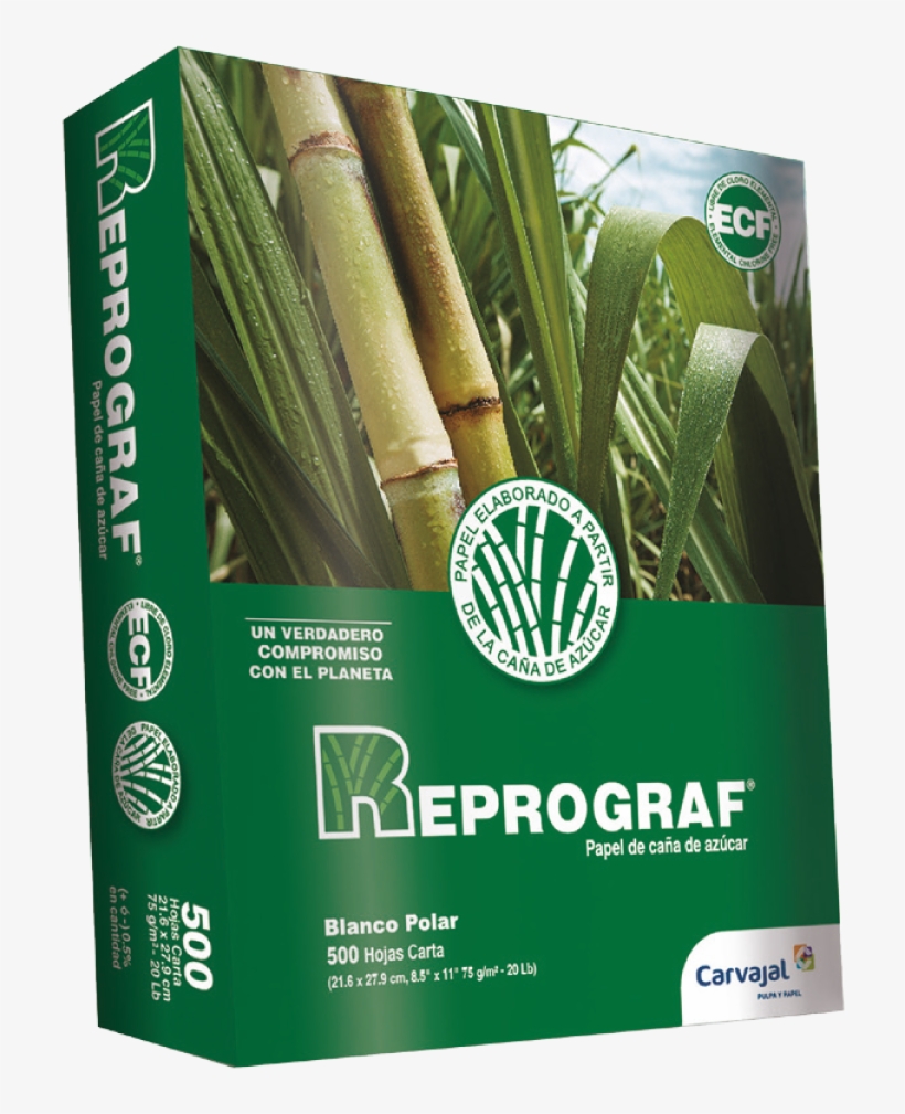 Resmas De Papel - Reprograf, transparent png download