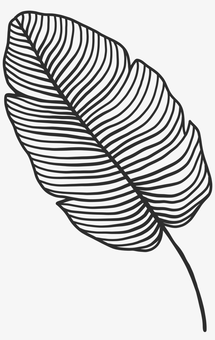 Posted In Sin Categoría - Sketch, transparent png download