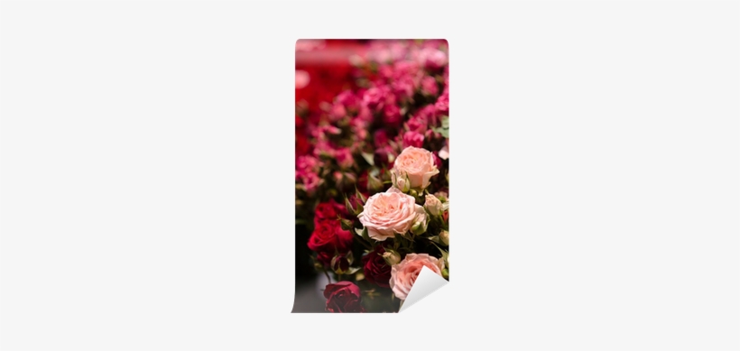 Pink Flowers Rose On Red Background Blur Valentine - Hybrid Tea Rose, transparent png download