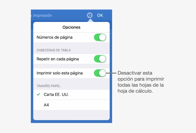El Panel De Vista Previa De Impresión, Con Controles - Print Spreadsheet Ipad, transparent png download