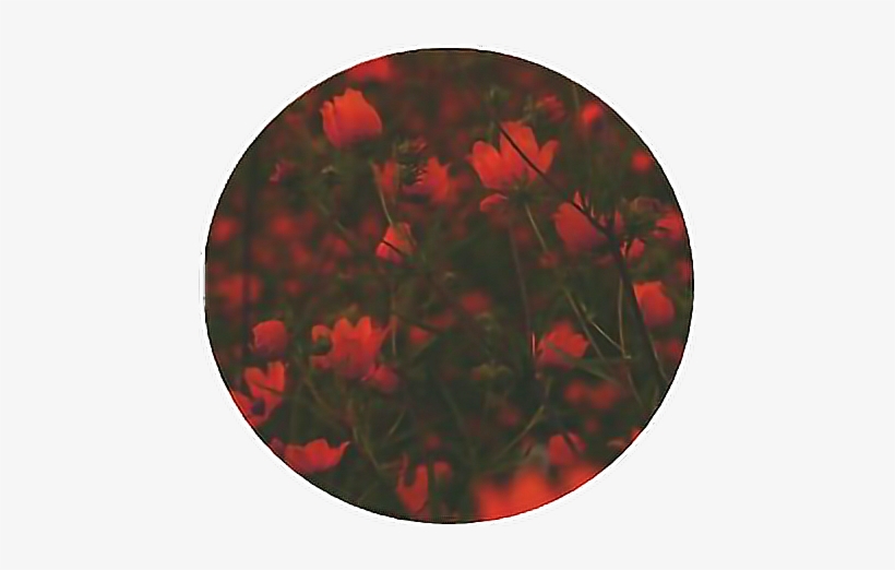 Portrait Of A Man In A Brown Coat, transparent png download