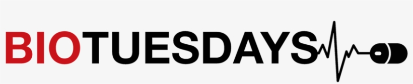 Biotuesdays Rect - Portable Network Graphics, transparent png download