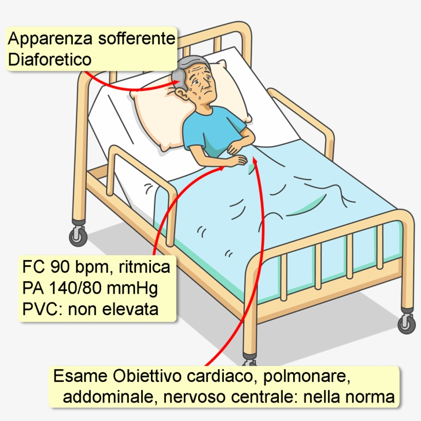 Non C'è Storia Di Diabete, Dislipidemia O Malattia - Case Report, transparent png download