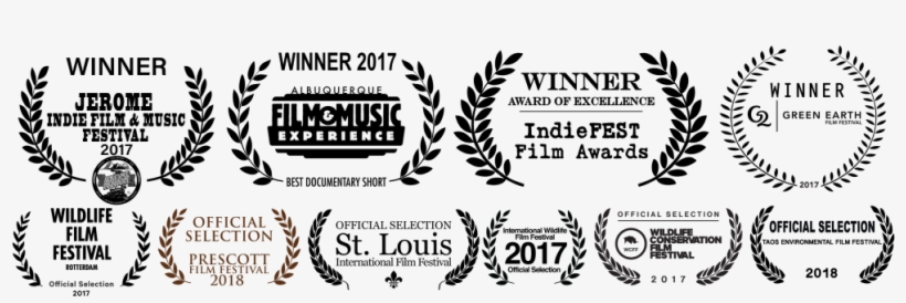 Considered Extinct Nearly 40 Years Ago, The Little - Film Festival, transparent png download