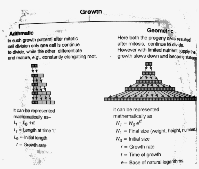 Growth Rate And Types Of Growth Rate In - Economic Growth, transparent png download