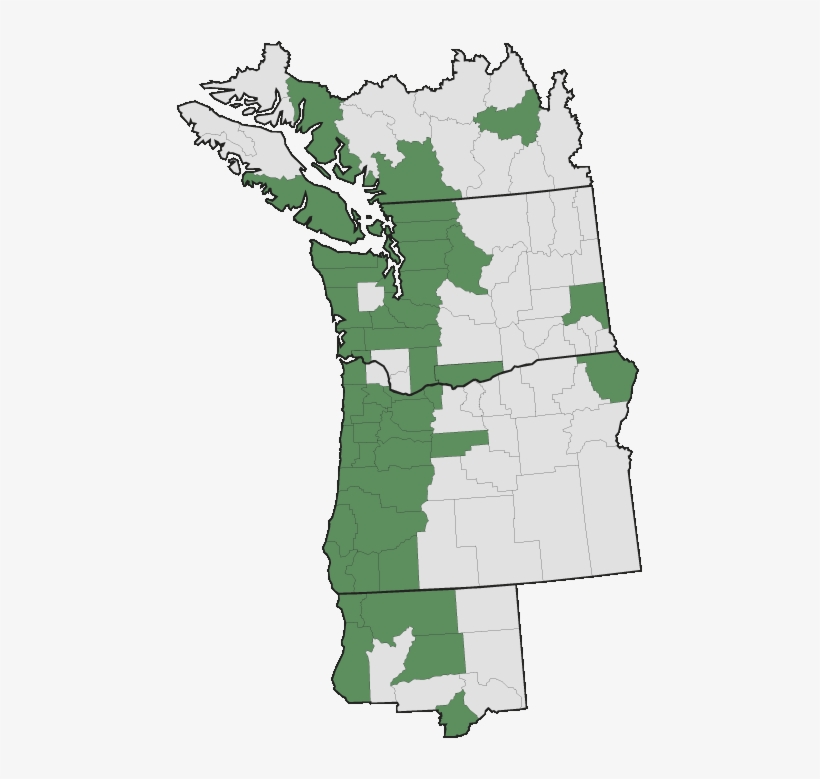 More Information - - Pacific Northwest English, transparent png download