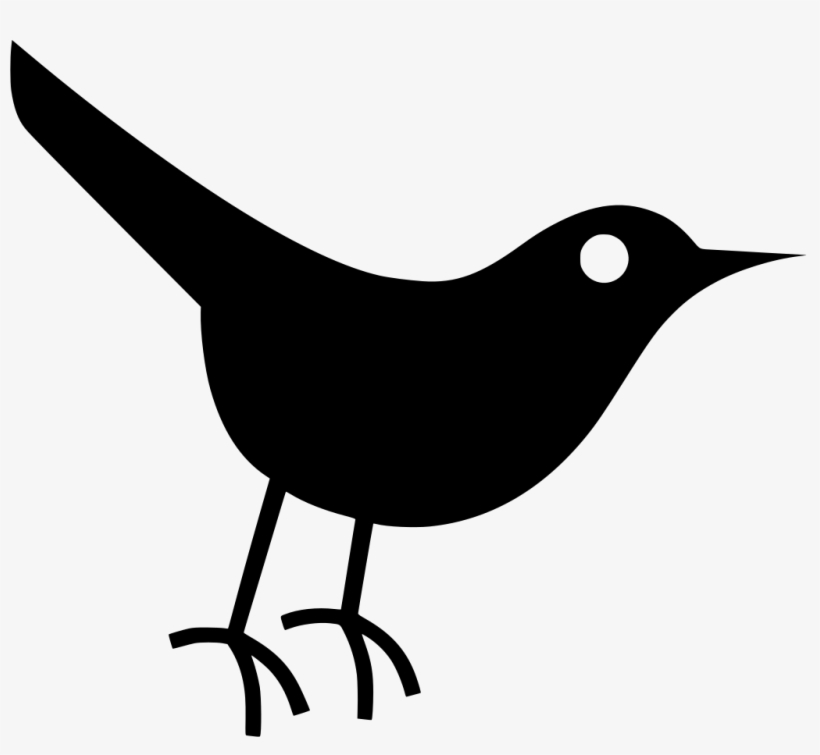Download Png - Twitter Bird Icon, transparent png download