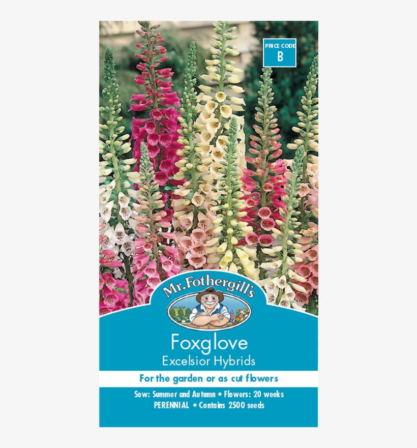 Mr Fothergill's Foxglove Excelsior Seeds - Foxgloves Bunnings, transparent png download
