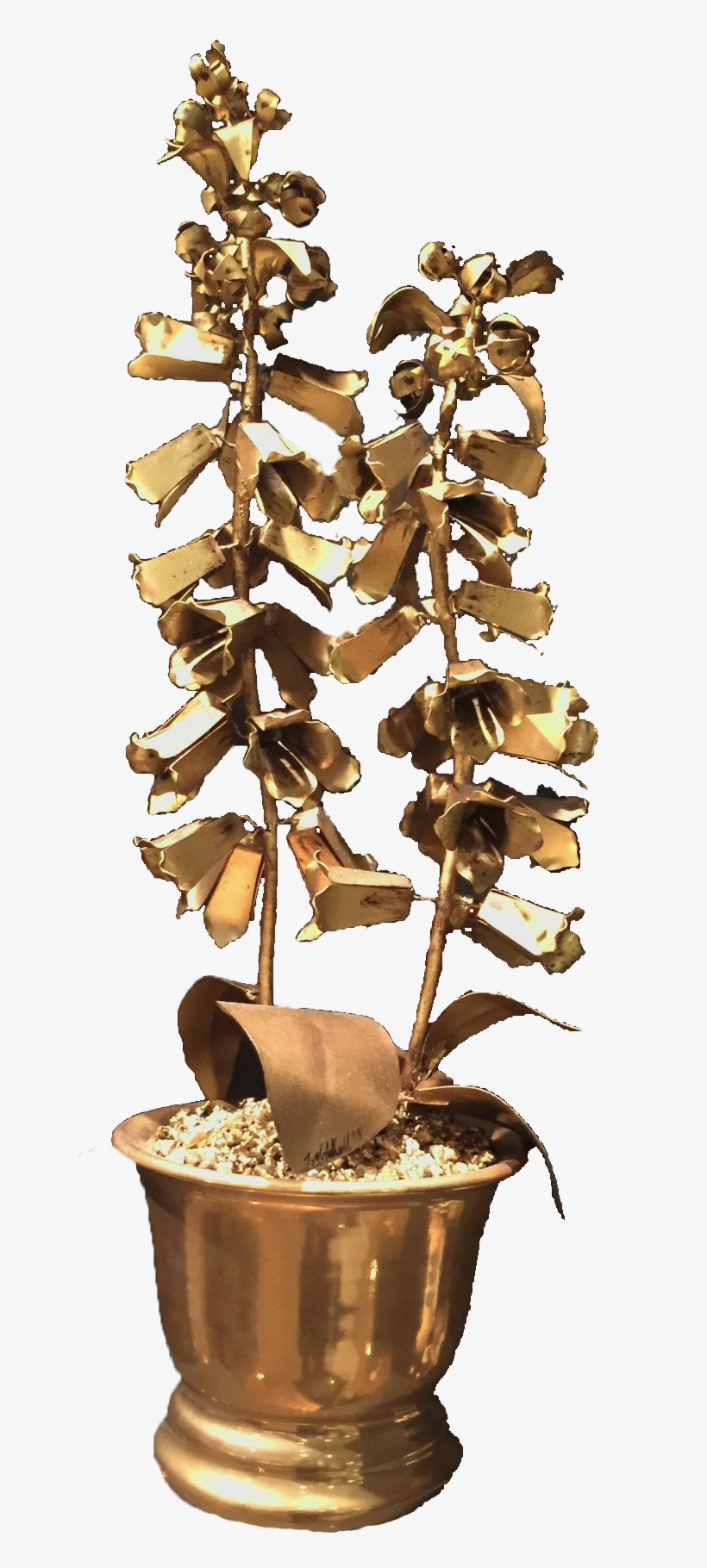 000dfxg, transparent png download