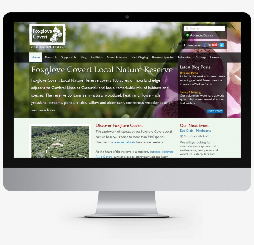 Foxglove Covert Lnr Website - Auto Service, transparent png download