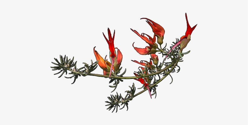 Ver En La Mediateca - Education, transparent png download