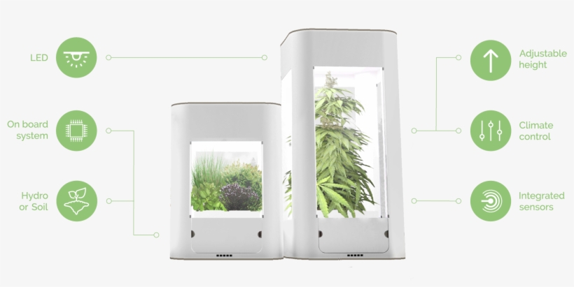 Equipped With Climate Control Actuators And State Of - Grass, transparent png download