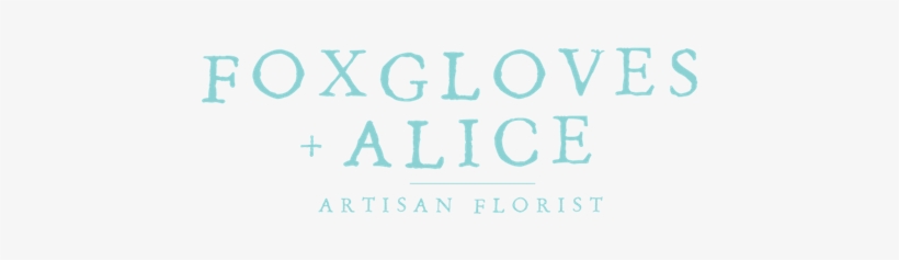 Photographer, transparent png download