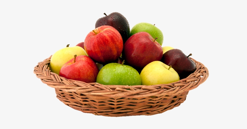 Holtzinger Fruit Company - Apple In The Basket Png, transparent png download