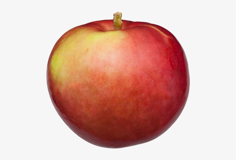 Apple, transparent png download