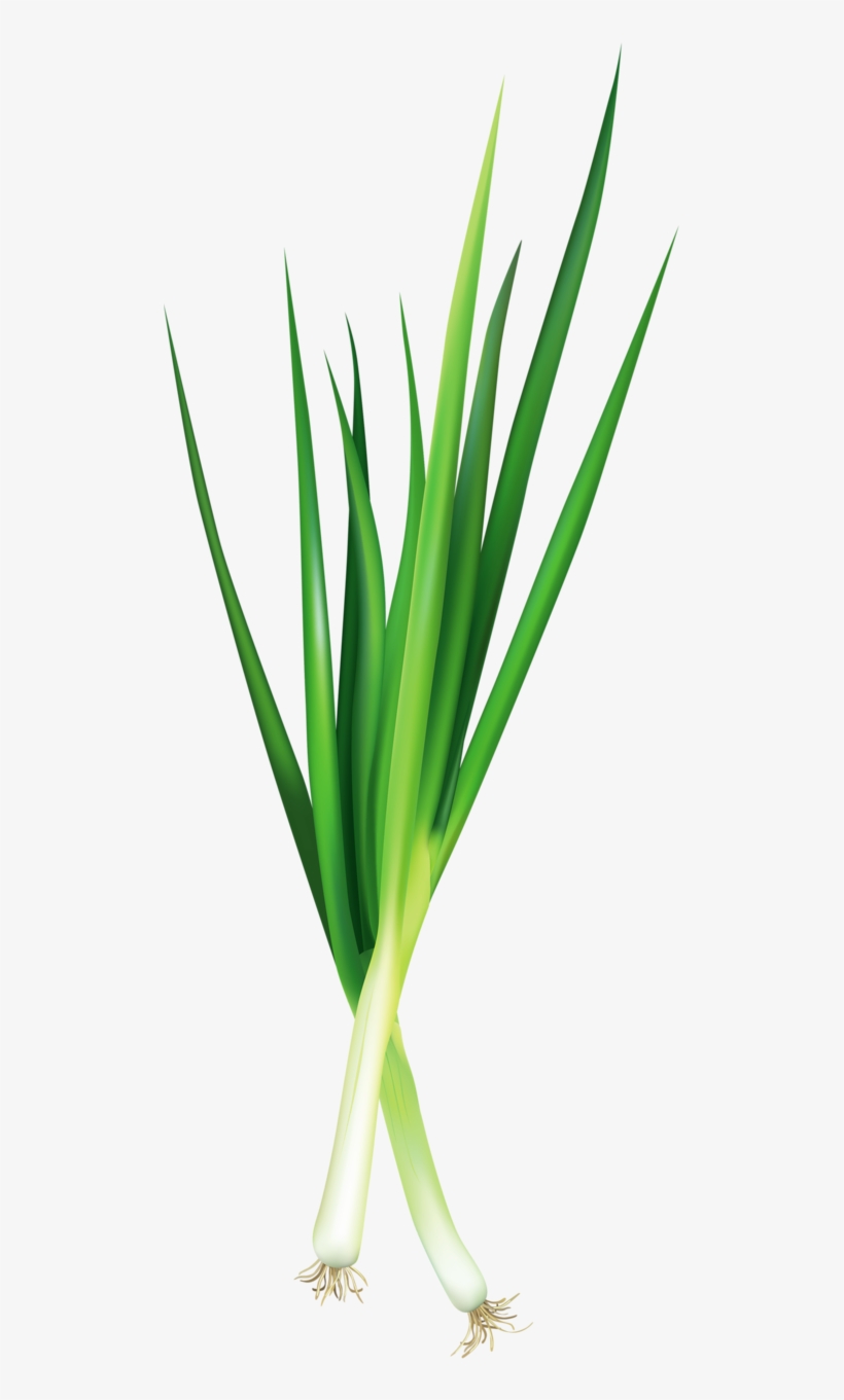 Фотки Vegetable Pictures, Food Stickers, Vegetable - Illustration, transparent png download