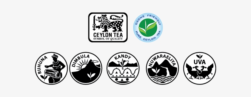 According To Legend Tea Was Discovered Over 5000 Years - Dilmah Green Tea Ginger 25 Bags, transparent png download