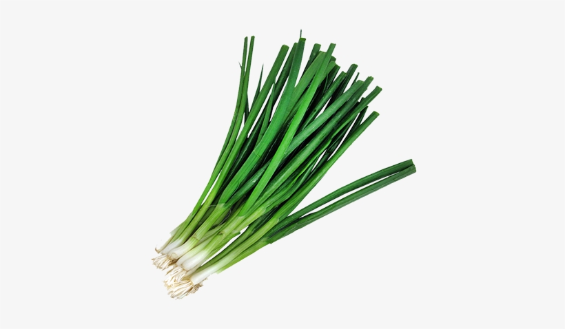 Welsh Onion, transparent png download