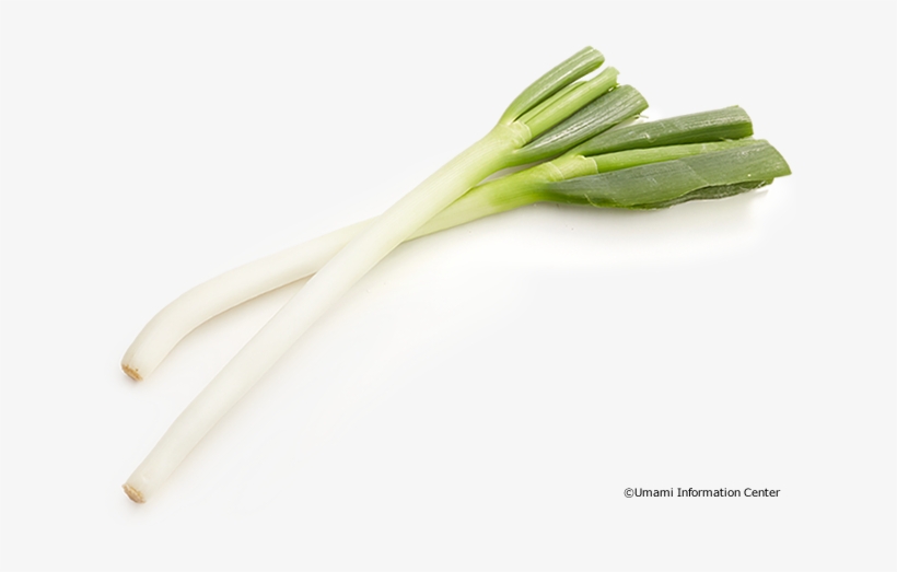 Green Onion - Leek, transparent png download