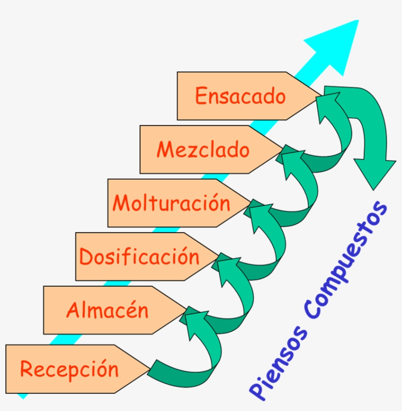 Principales Pasos A Seguir - Coolest Norwegian Grandma Rectangle Magnet, transparent png download