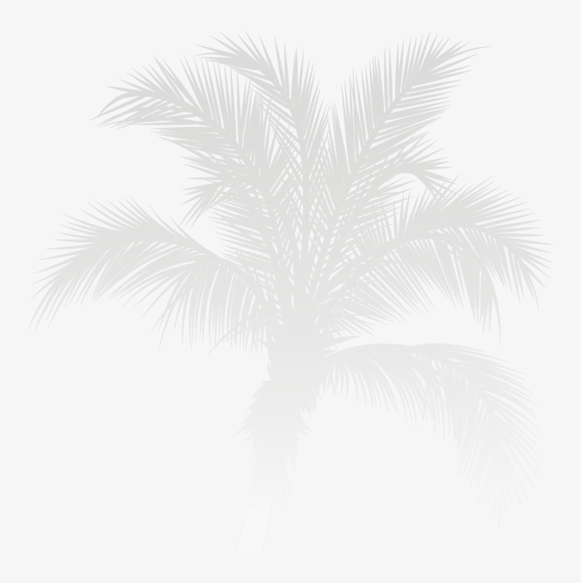 Roots-quick 03, transparent png download