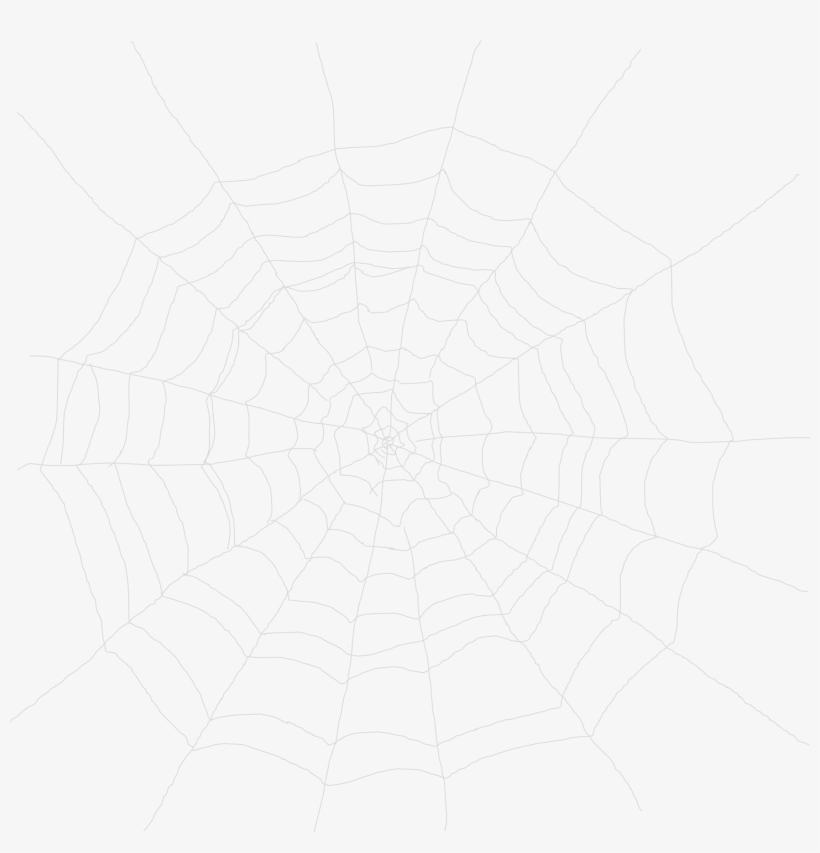 Cobweb Spider  Transparent PNG 1753x1739 Free Download on NicePNG