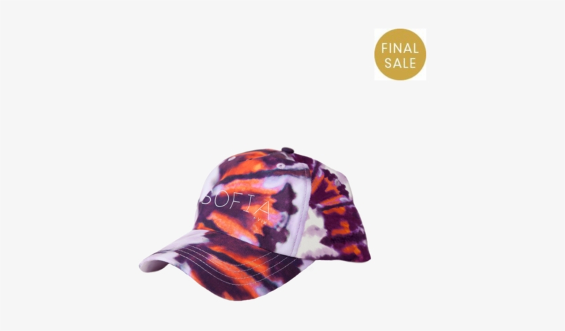 Fish, transparent png download