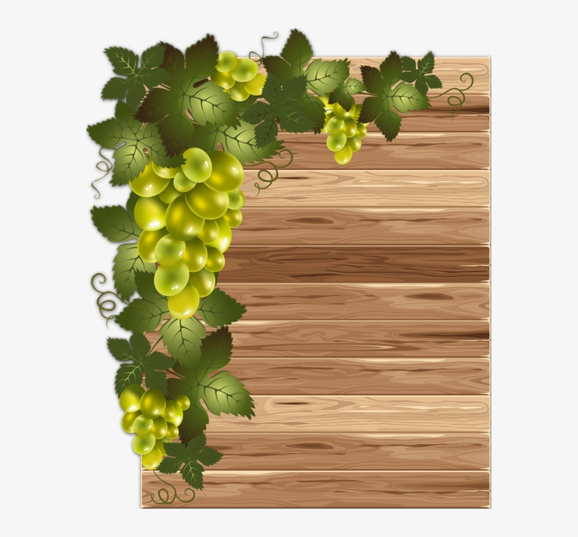 7075491a - Grape Vinyard Transparent Png, transparent png download