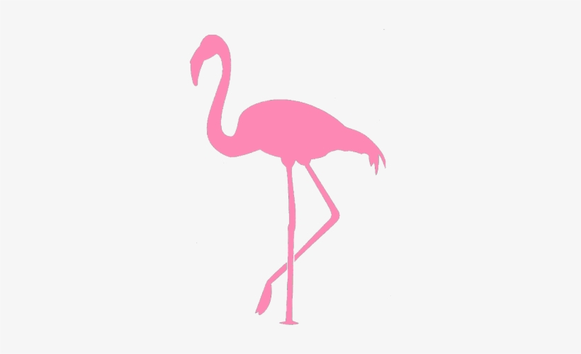 Flaming T-shirt - Imagem Para Stencil De Flamingo, transparent png download