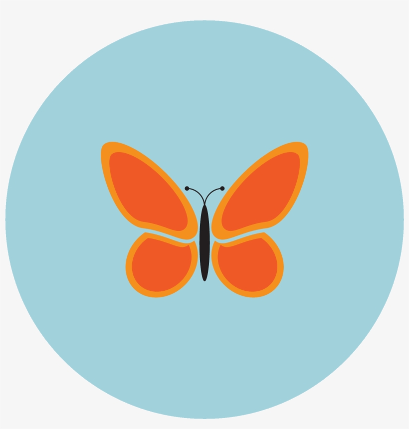It Is An Insect Called A Butterfly - Rocket Explorer, transparent png download