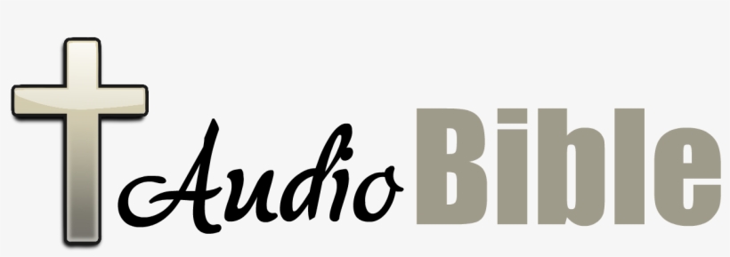 Office Choice, transparent png download