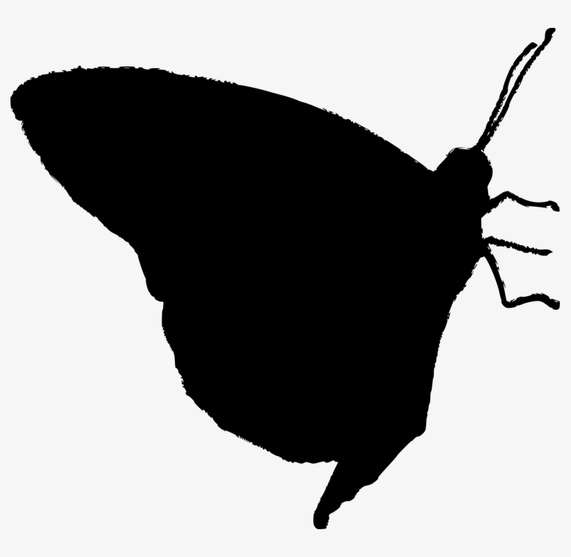 Butterfly Silhouette Vector - Stock.xchng, transparent png download