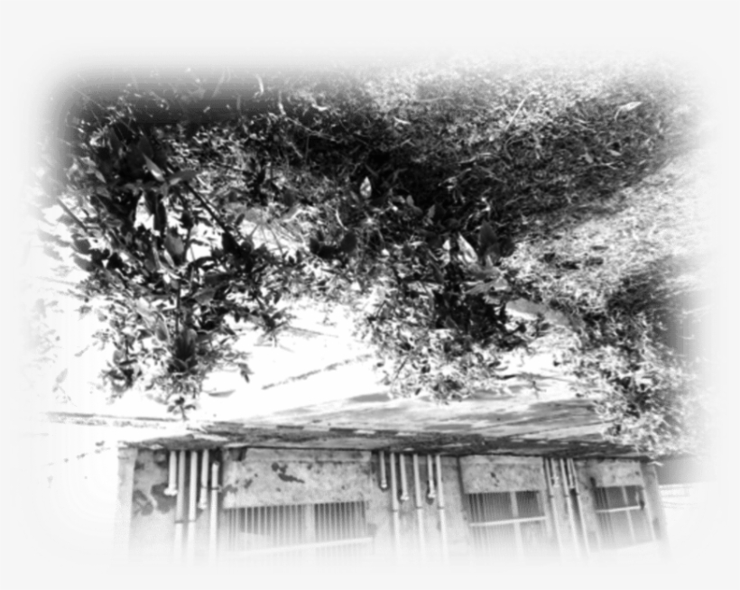 An Upside-down World - Monochrome, transparent png download