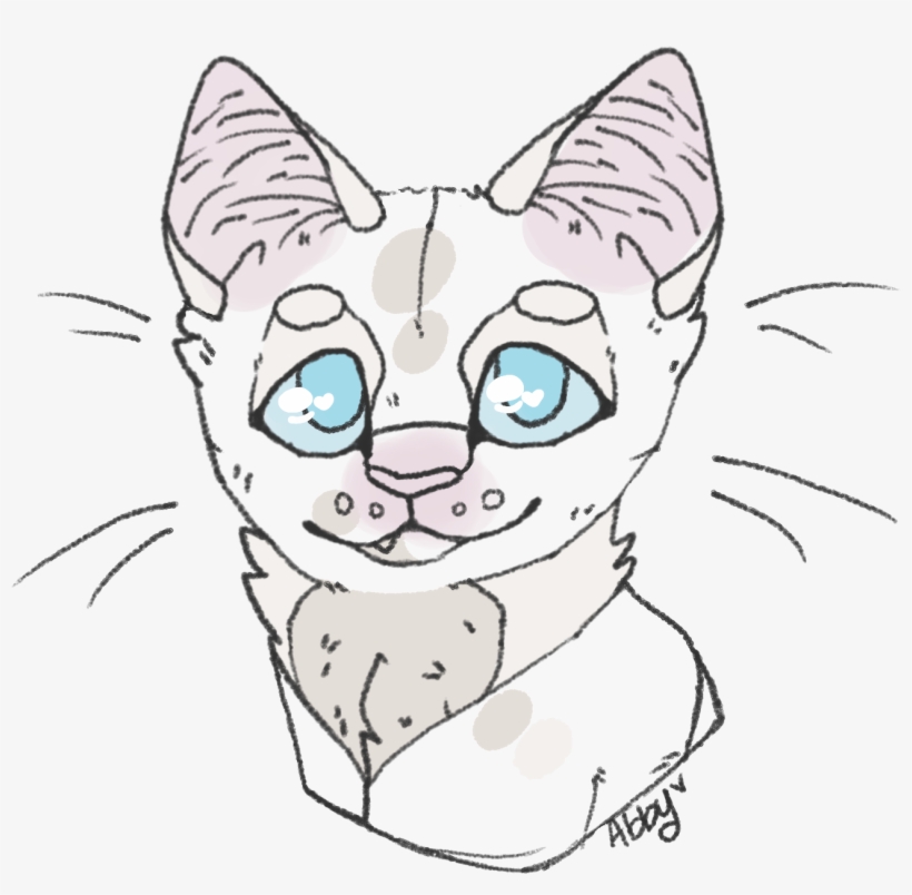 Toad Headshot 234 - Domestic Short-haired Cat, transparent png download