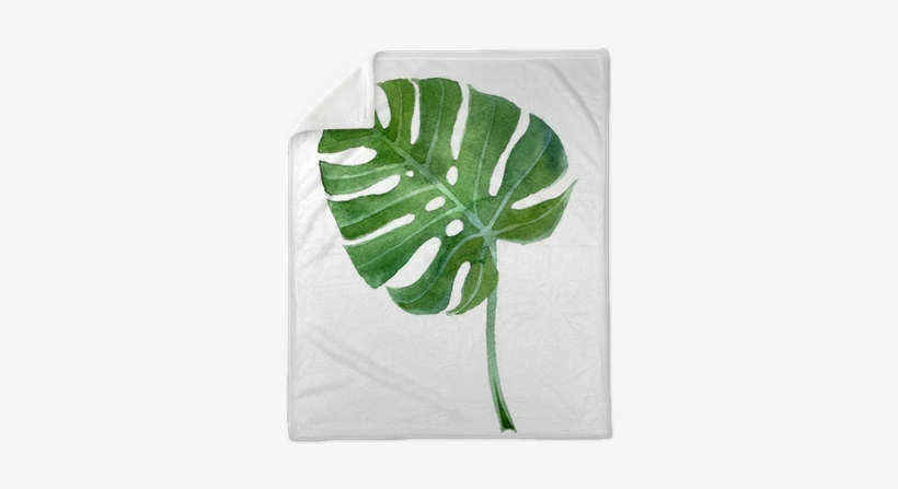 Monstera Vector, transparent png download