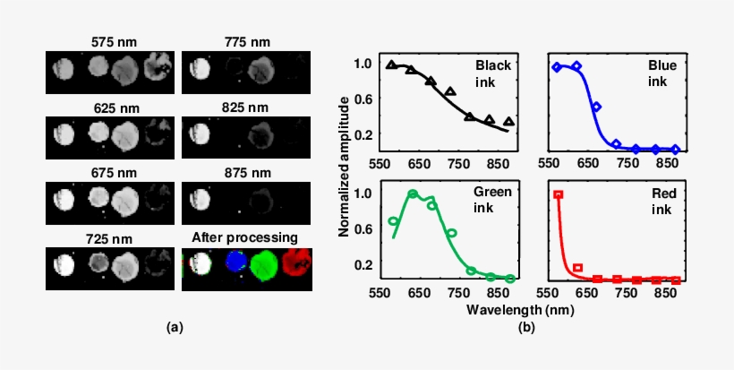 Multiwavelength Images Of Black, Blue, Green, And Red - Common Fig, transparent png download