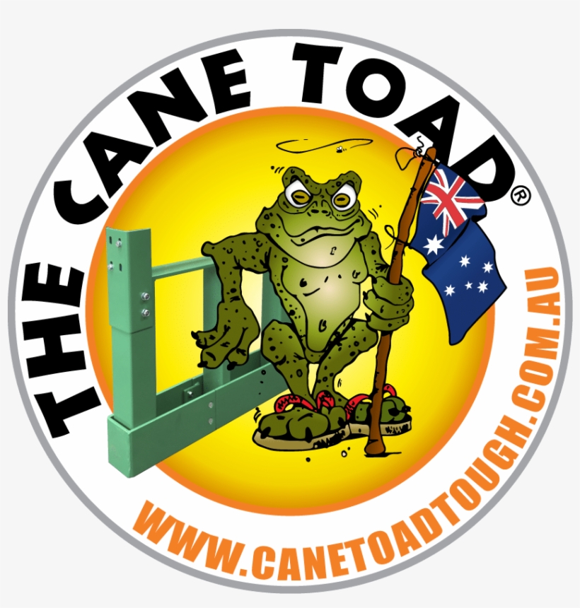 Are You Tired Of Forking Out Time And Money Repairing - Cane Toad, transparent png download