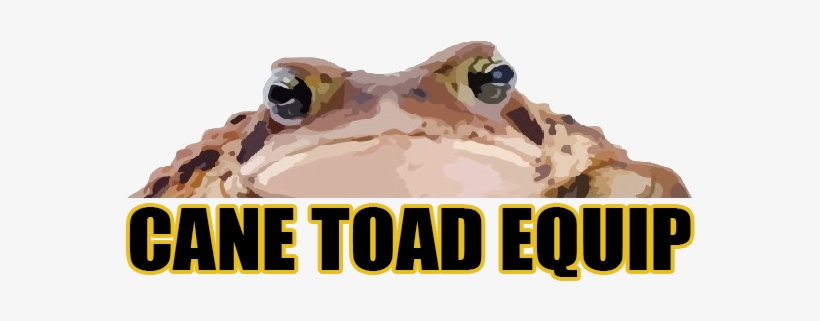 276 - Avon Kataloğu Bayan Parfümleri, transparent png download