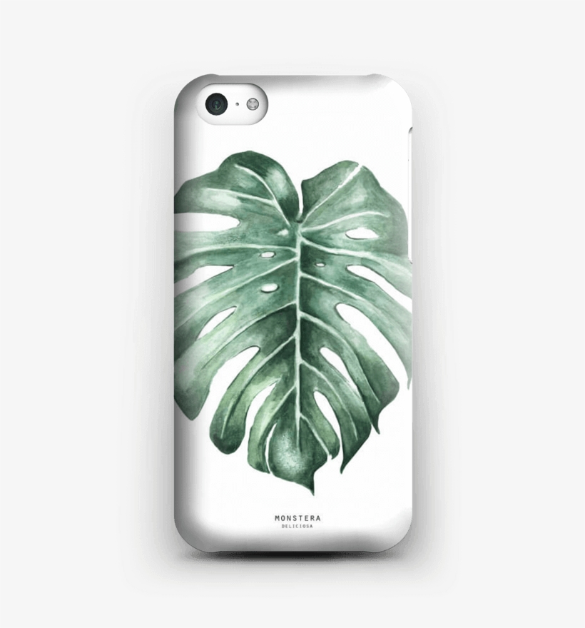 Monstera Deliciosa Case Iphone 5c - Iphone 8 Skal Monstera, transparent png download