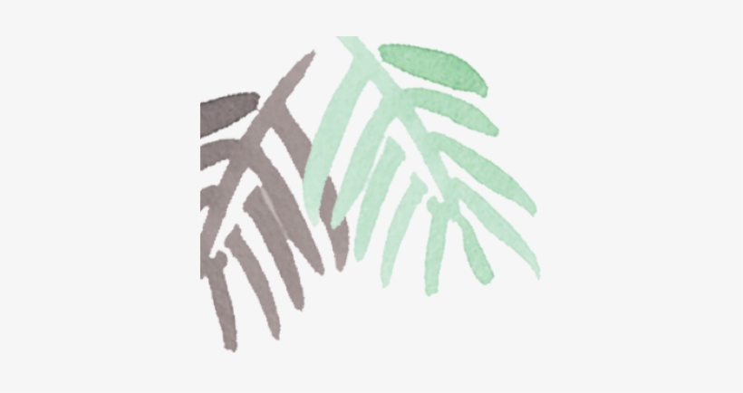 Feuilles@2x - Palm Tree, transparent png download
