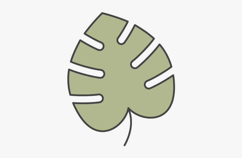 Monstera - Portable Network Graphics, transparent png download