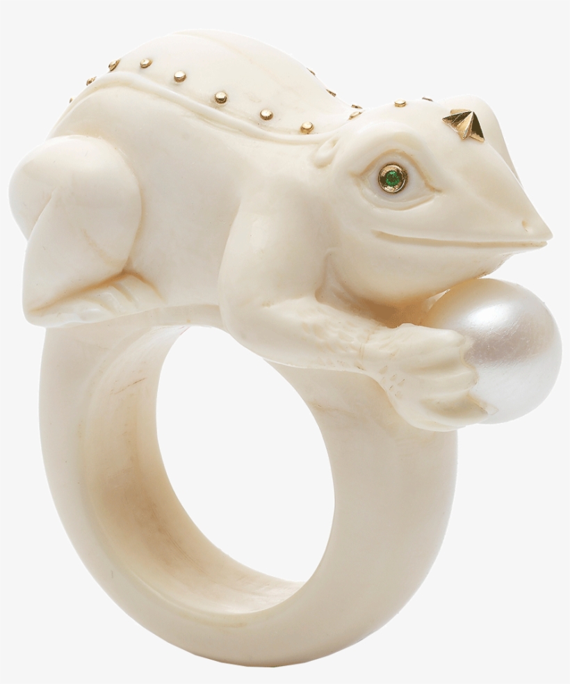 Loading Zoom - Bibi Van Der Velden: Toad On A Pearl Ring, transparent png download