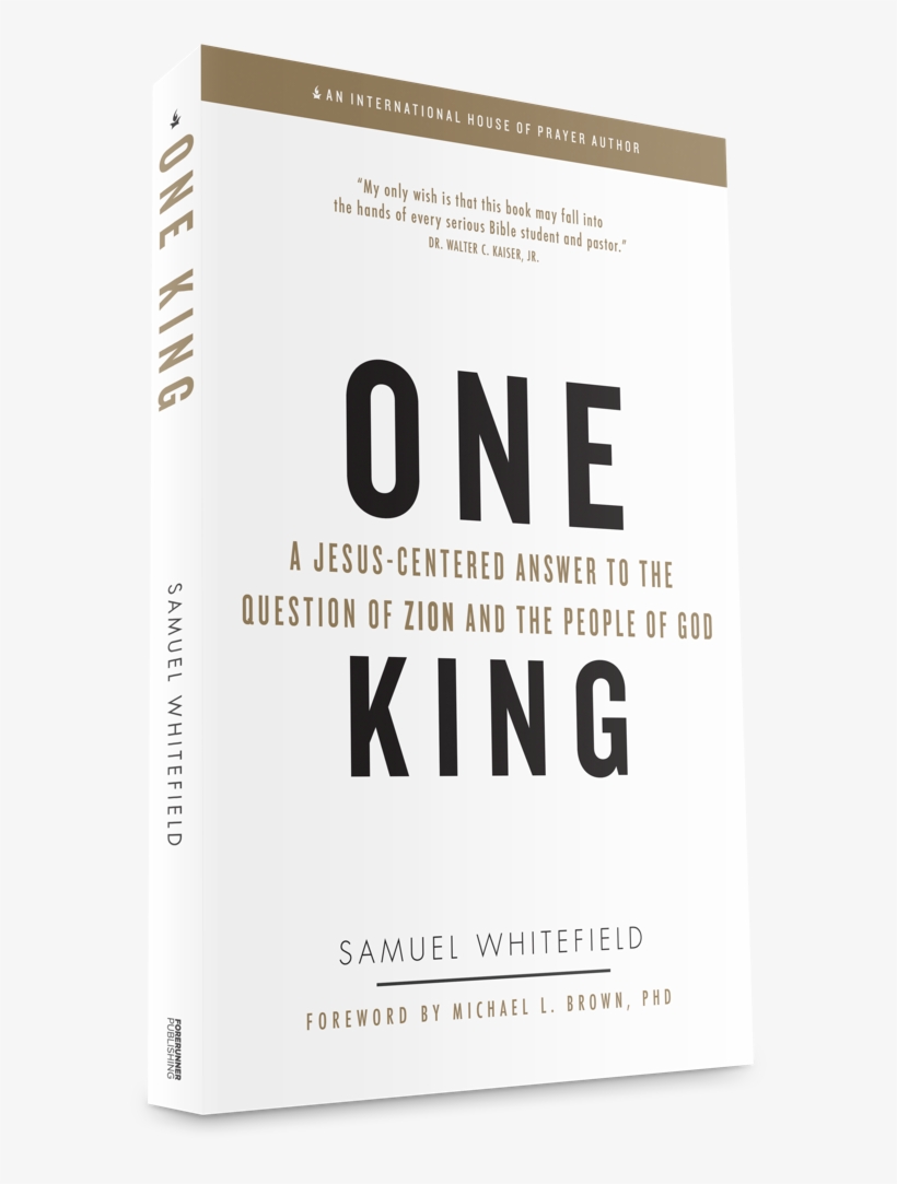 About The Book - One King: A Jesus-centered Answer, transparent png download