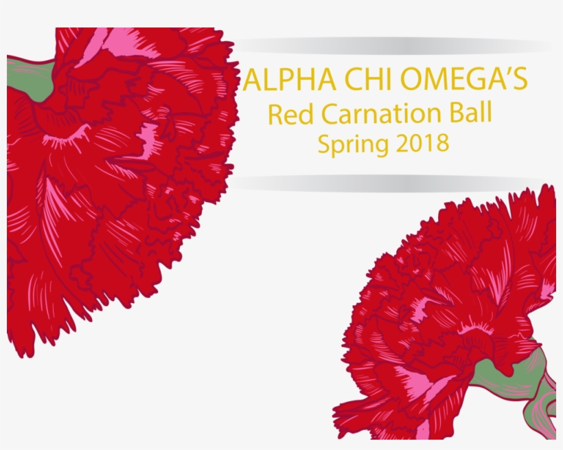 Alpha Chi Omega - Kit Gay, transparent png download