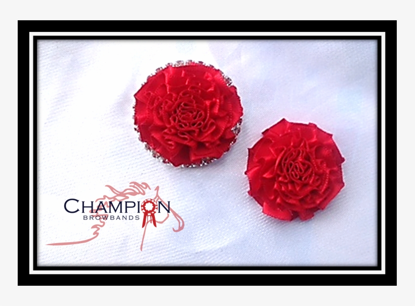 Satin Carnation 35mm - Fábrica Zapatos Weiss Valdivia, transparent png download